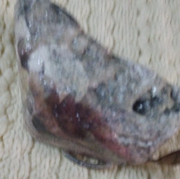 Handcrafted decoupage inspirational rock or paper weight - Picture 5 of 7